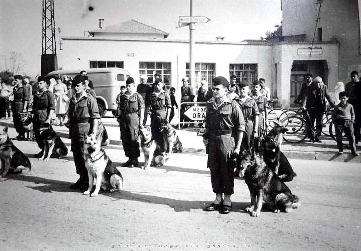 Oran- SDV- 6043.jpg